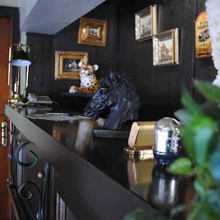 Hotel Dream 3*